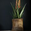 Antieke houten pot Antieke houten pot