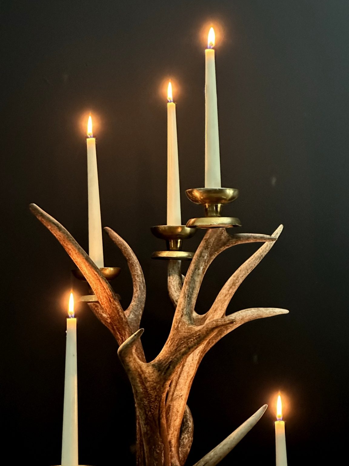 Red Deer Antler Candlestick BEAST Interiors file-red-deer-stag-2009-denmark-jpg-wikimedia-commons
