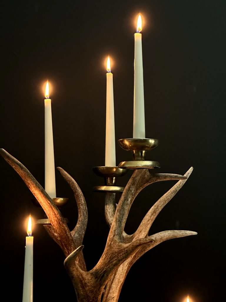 Red deer antler candlestick BEAST Interiors