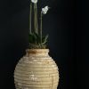 Antieke Griekse ringpot