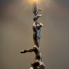 Grote staande druivenhout lamp Grote staande druivenhout lamp