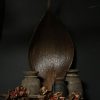 Decoratief gedroogd palmblad