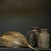Decoratief gedroogd palmblad