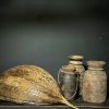 Decoratief gedroogd palmblad
