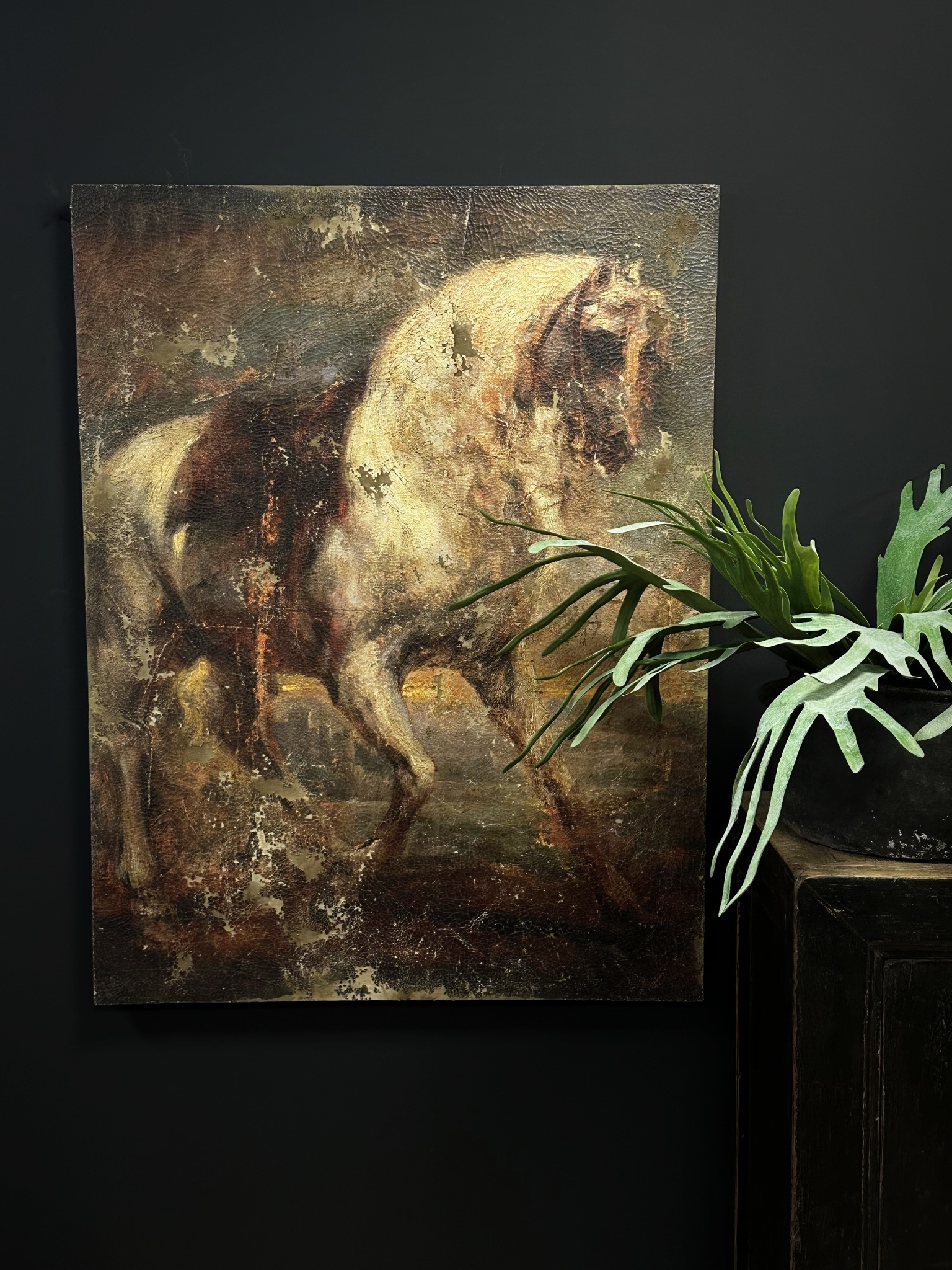 Schilderij. A Grey Horse - Anthony van Dyck
