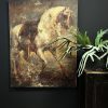 Schilderij. A Grey Horse - Anthony van Dyck Schilderij. A Grey Horse - Anthony van Dyck