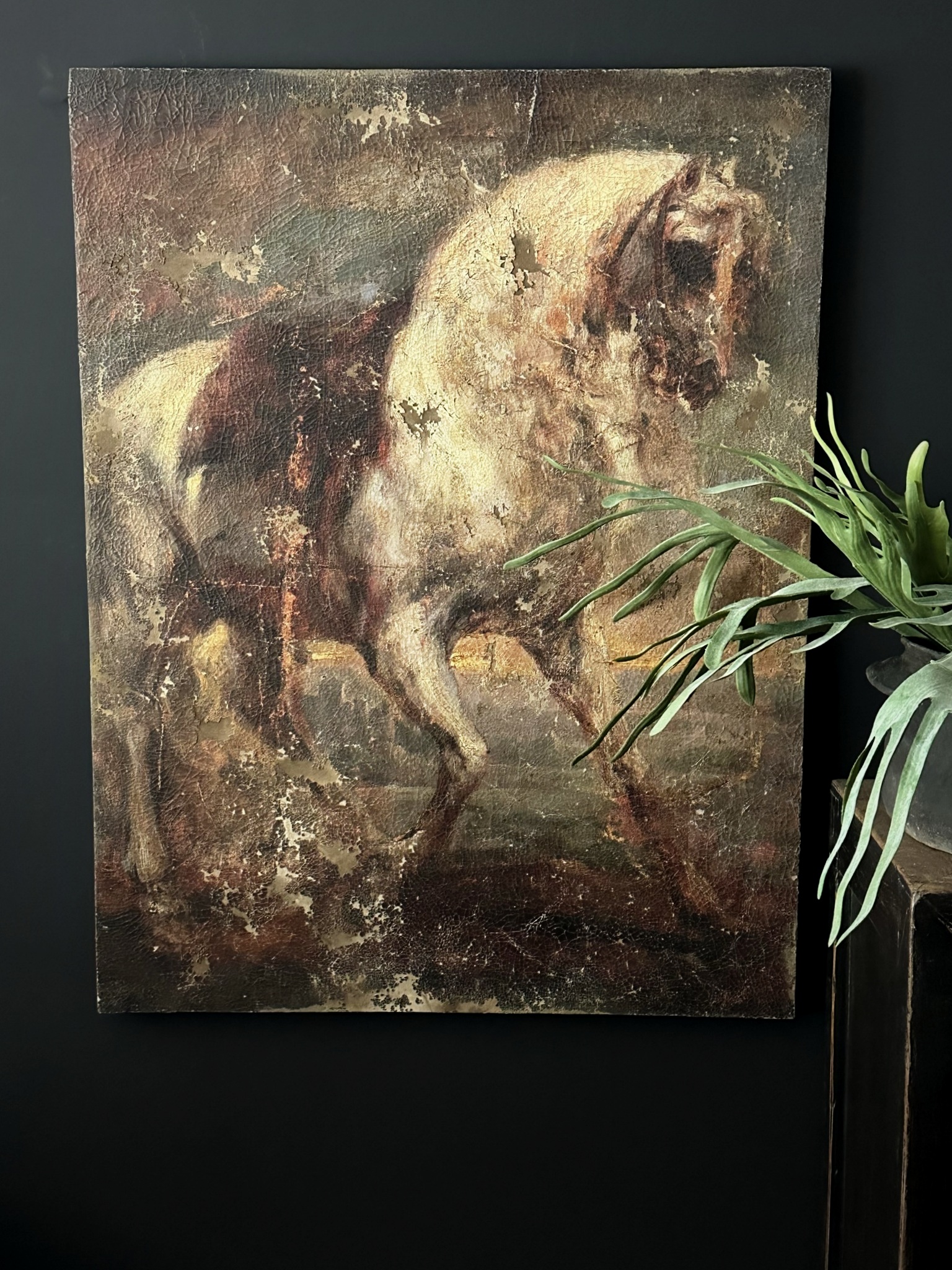 Schilderij. A Grey Horse - Anthony van Dyck