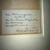 Antieke Zweedse herbarium pagina's Antieke Zweedse herbarium pagina's