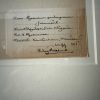 Antieke Zweedse herbarium pagina's Antieke Zweedse herbarium pagina's