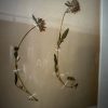 Antieke Zweedse herbarium pagina's Antieke Zweedse herbarium pagina's