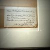 Antieke Zweedse herbarium pagina's Antieke Zweedse herbarium pagina's
