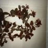 Antieke Zweedse herbarium pagina's Antieke Zweedse herbarium pagina's