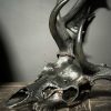 Damhert gewei "charcoal" Damhert gewei "charcoal"