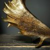 Damhert gewei goud gemetalliseerd Damhert gewei goud gemetalliseerd