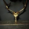 Damhert gewei goud gemetalliseerd Damhert gewei goud gemetalliseerd