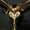 Damhert gewei goud gemetalliseerd Damhert gewei goud gemetalliseerd