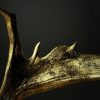 Damhert gewei goud gemetalliseerd Damhert gewei goud gemetalliseerd