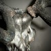 Edelhert gewei XXL"charcoal"