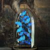Antieke stolp met Morpho Adonis Antieke stolp met Morpho Adonis