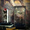 Glazen vitrine met wandelende tak