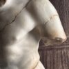 Beeld De Gladiator, marmeren replica. Beeld De Gladiator, marmeren replica.