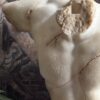 Beeld De Gladiator, marmeren replica. Beeld De Gladiator, marmeren replica.