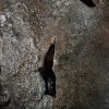 Beeld fragment van Discophorus. Beeld fragment van Discophorus.