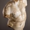 Apollo Torso XXL. marmeren replica.