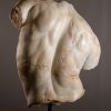 Apollo Torso XXL. marmeren replica.