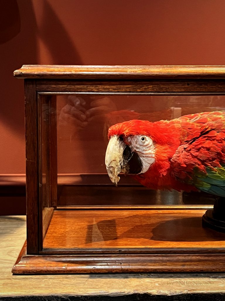 Gallery image with a fresh perspective