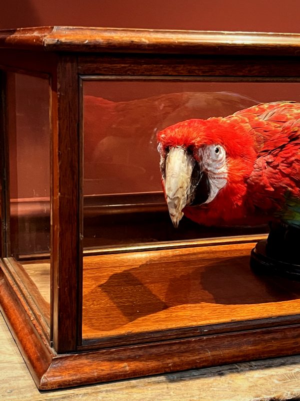 Gallery image with a fresh perspective