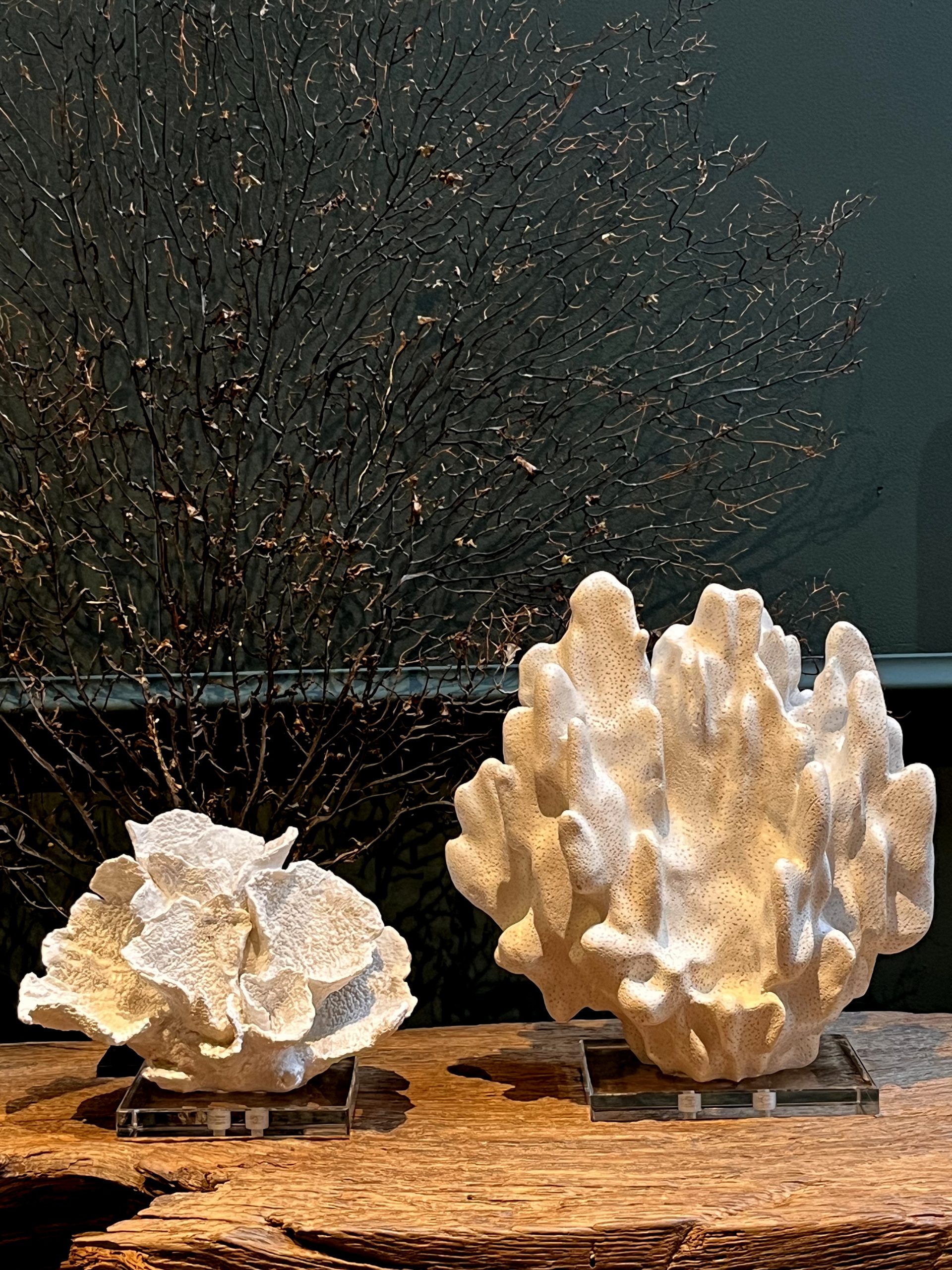 Replica bloem koraal