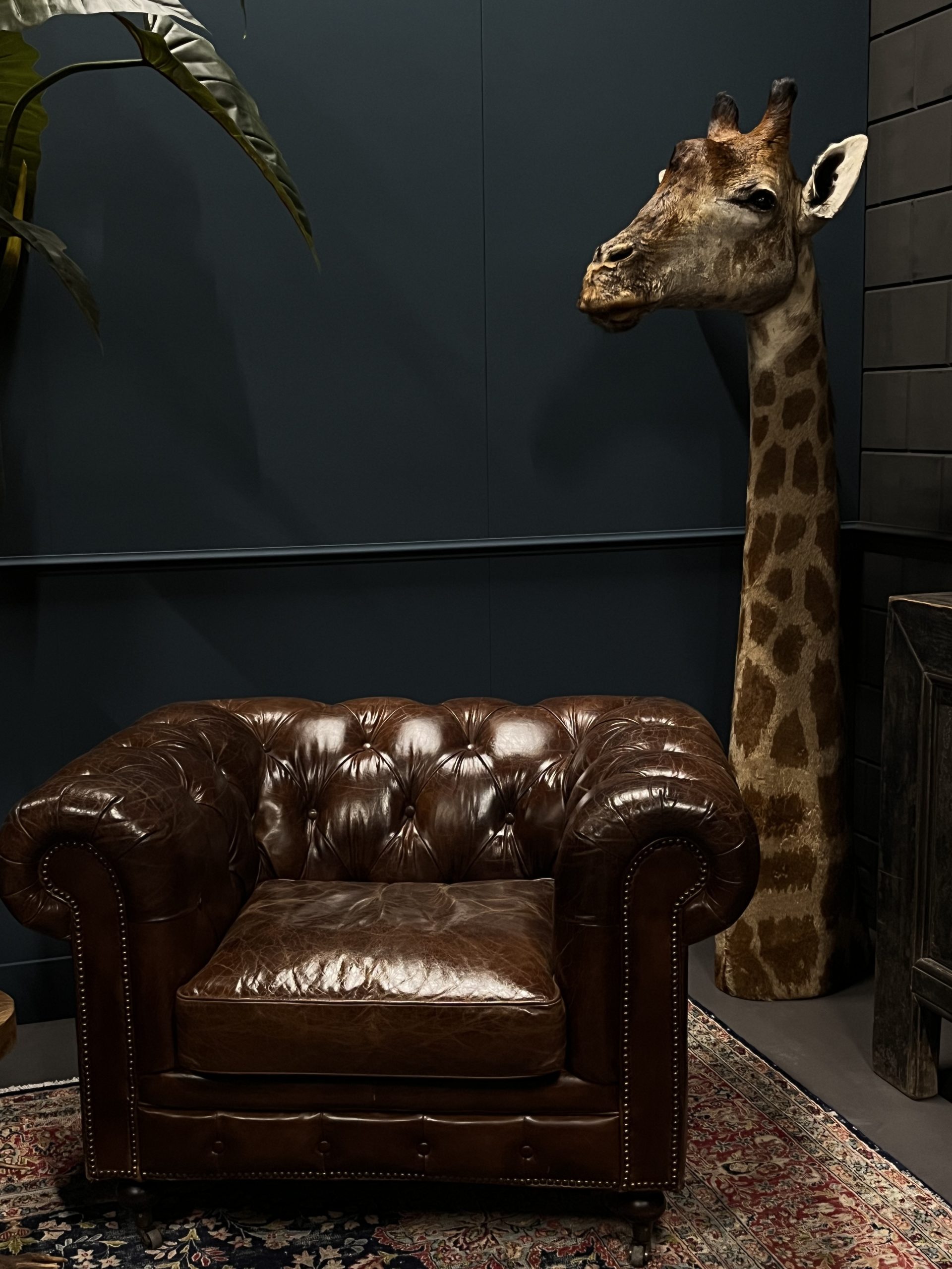 Opgezette kop van een giraffe