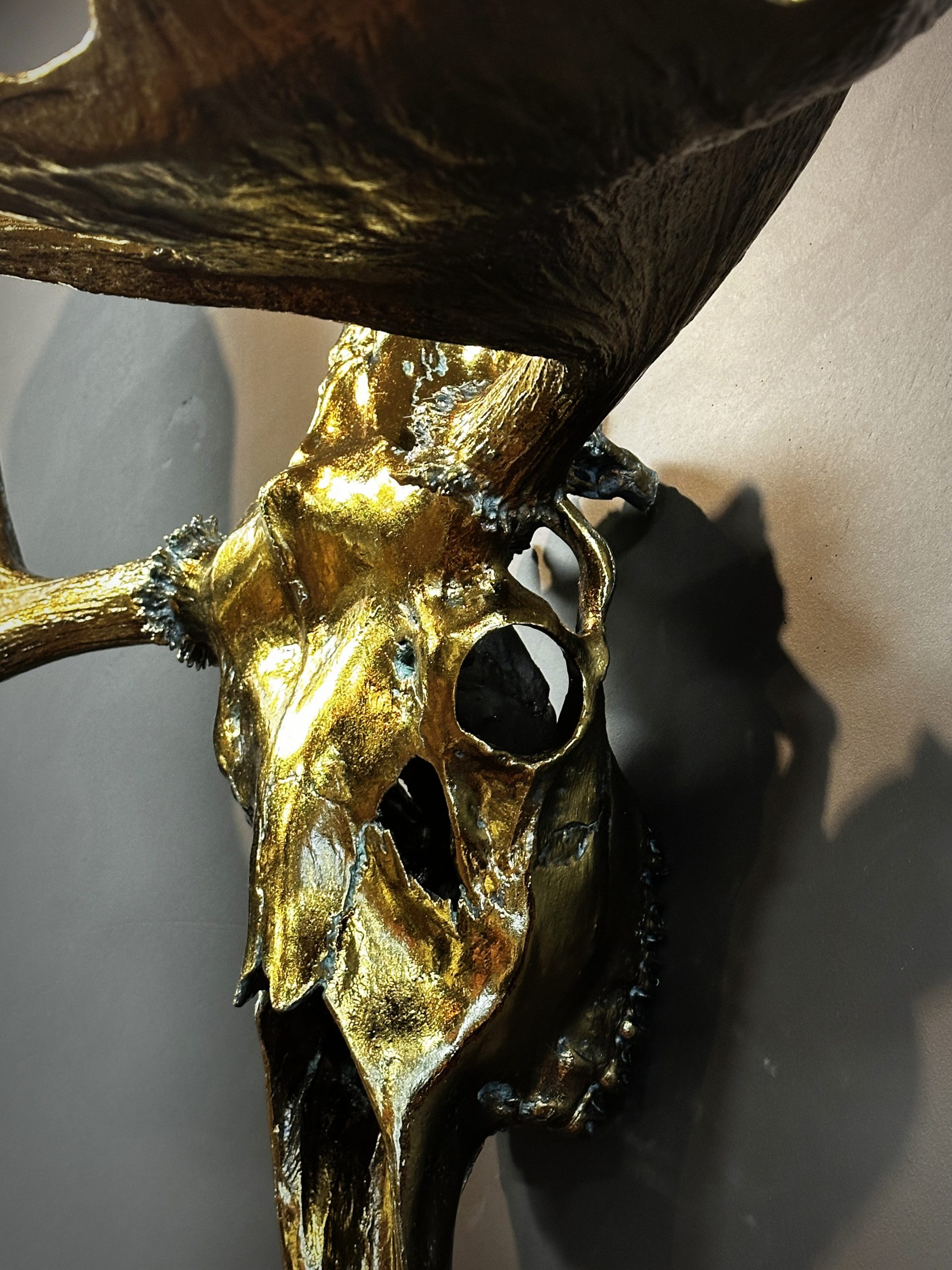 Brons gemetalliseerde schedel van Canadese Eland