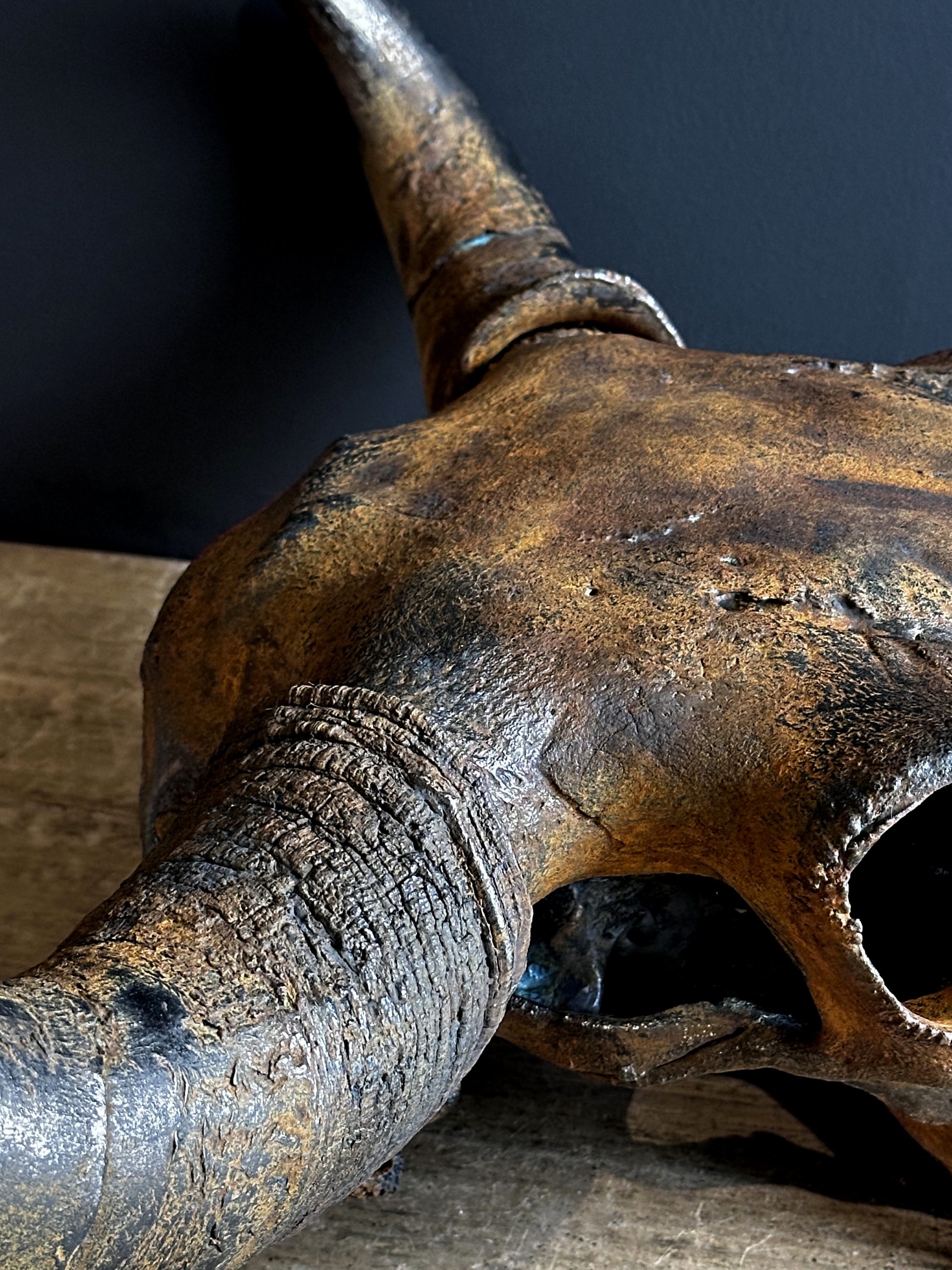 Gemetalliseerde schedel van een Bizon