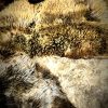 Designer schapen vloerkleed Designer schapen vloerkleed