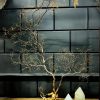 Decoratieve zeewaaier