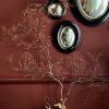 Decoratieve zeewaaier Decoratieve zeewaaier