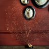 Decoratieve zeewaaier Decoratieve zeewaaier