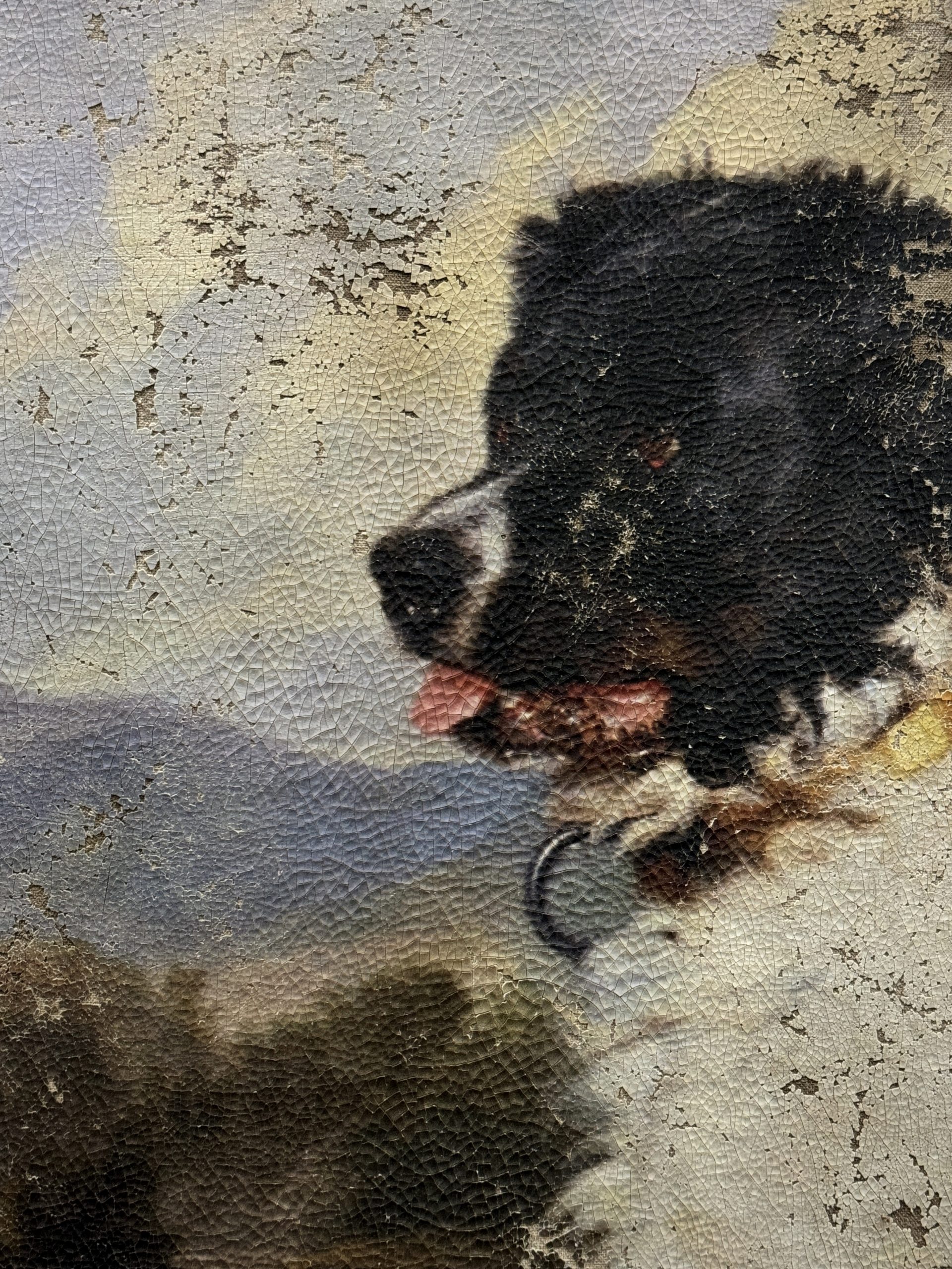 Schilderij  "A Newfoundland Dog - Edwin Landseer"
