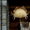 Krab op sokkel.