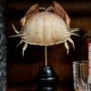 Krab op sokkel.