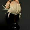 Krab op sokkel.