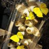 Stolp met bruin - gele vlinders Stolp met bruin - gele vlinders