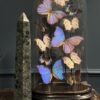 Natuurstenen obelisk