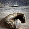 Diverse antieke armbanden