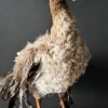 Opgezette gans