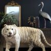 Opgezette witte tijger Opgezette witte tijger