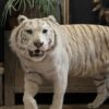 Opgezette witte tijger Opgezette witte tijger