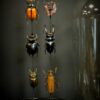 Stolp met diverse grote kevers Stolp met diverse grote kevers